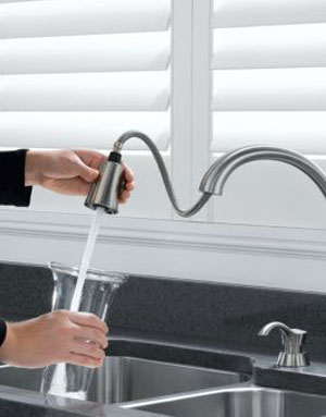 Delta Filtered Water Tap